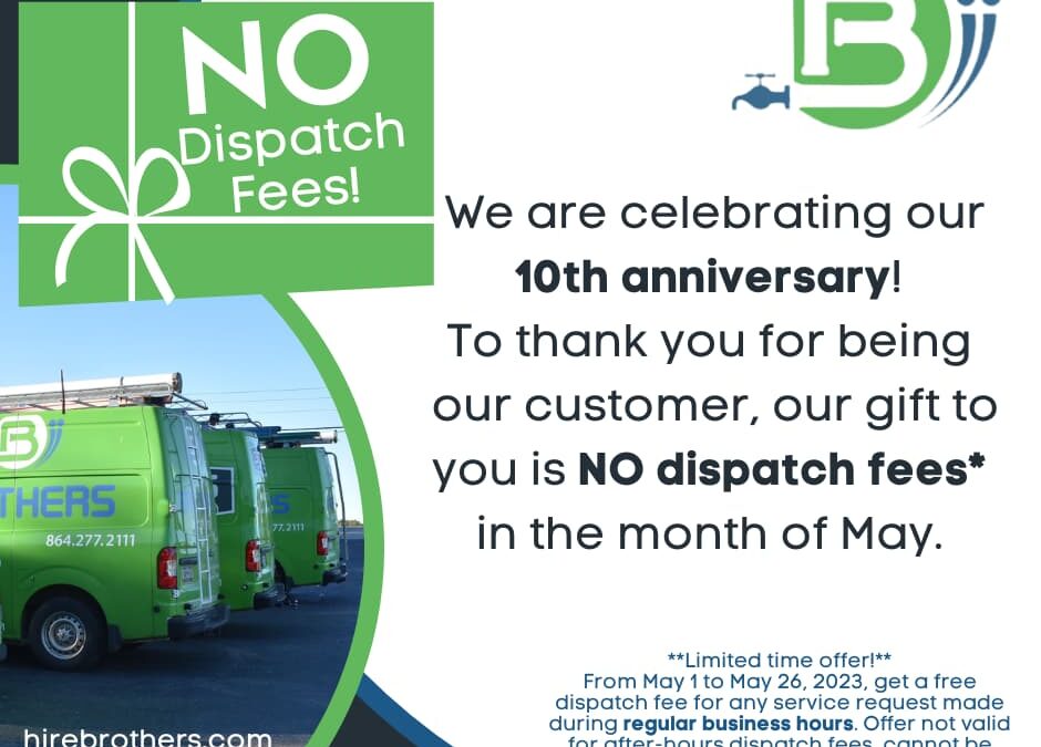 10th anniversary! Special Gift in May. NO dispatch fees.